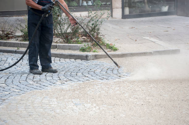 Best Roof Cleaning and Mildew Removal in Vinings, GA